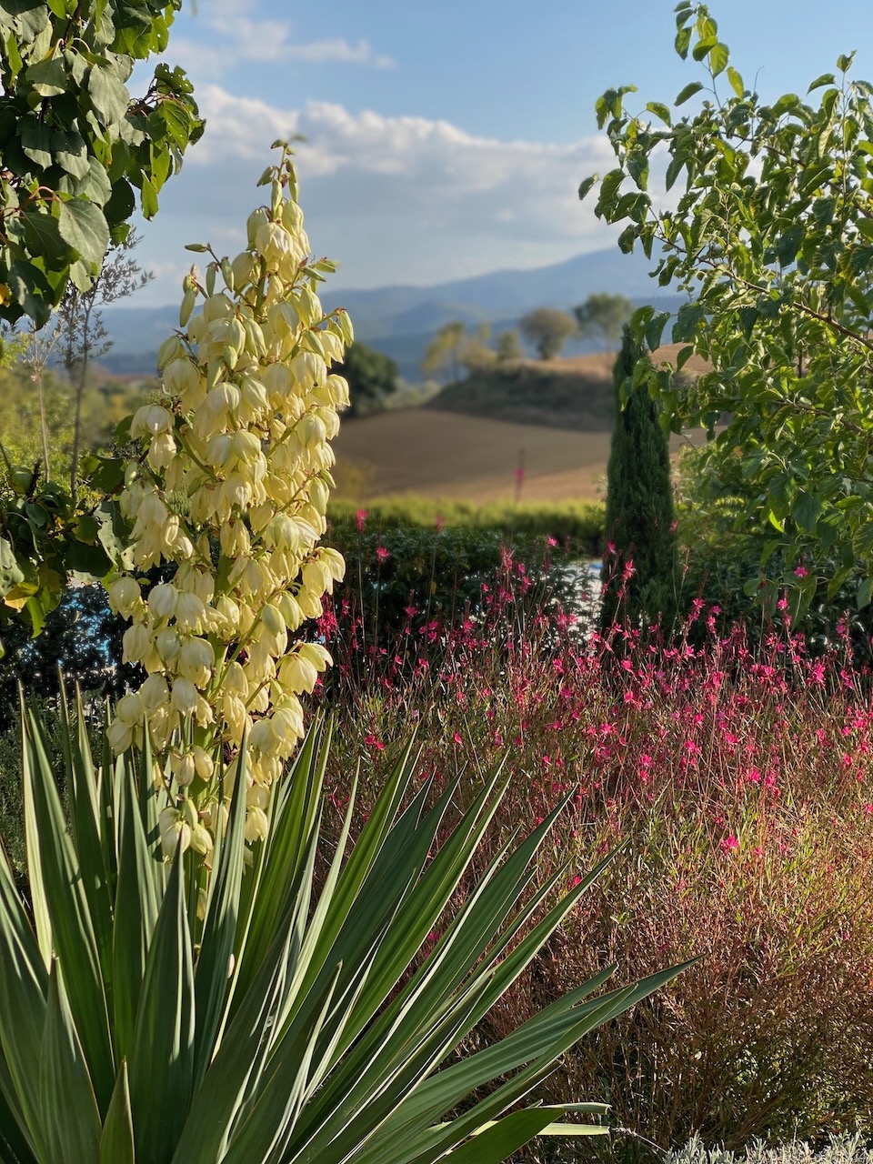 La Ceruglia Lifestyle